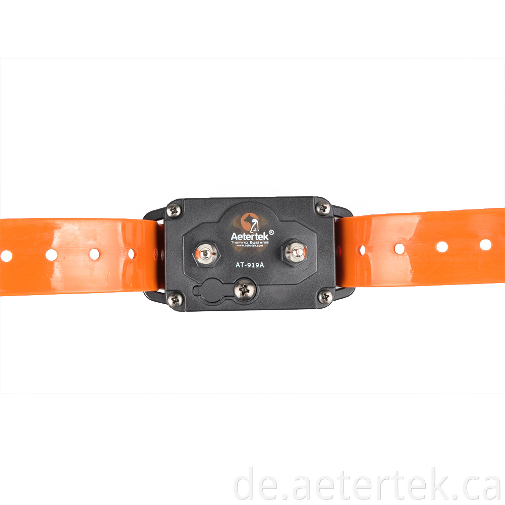 Auto Anti Bark Collar